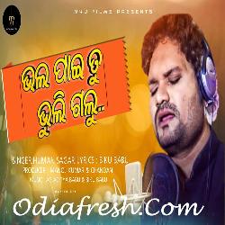 Bhala Pae Tu Bhuli Galu